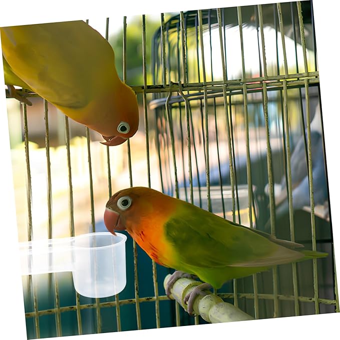 balacoo 10pcs Plastic Water Bottle Bird Drinker Feeder Cup Water Feeder Cup Chicken Pigeons Trough Animal Feeding Accessories