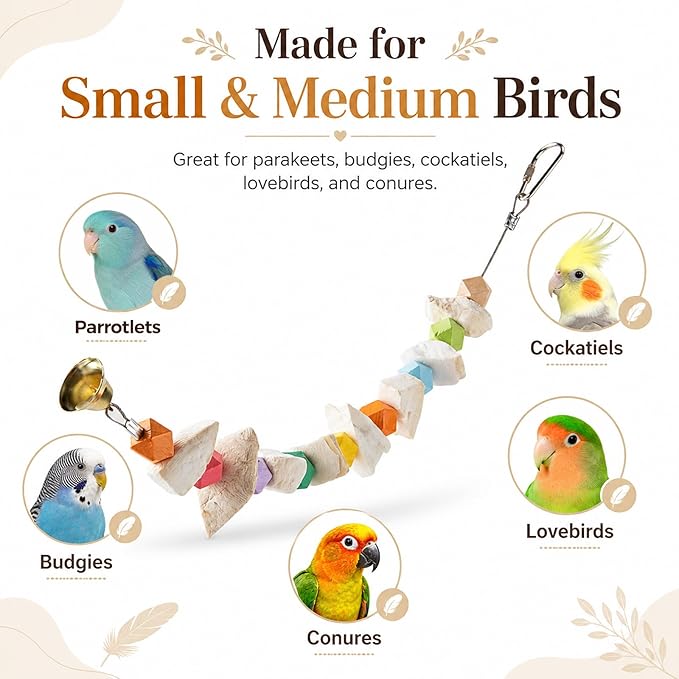 2 Pack Bird Toys with Cuttlebone, Parakeet Toys for Cage, Beak Grinding Stone and Cuttlefish Bone Chew Toys for Budgies, Cockatiels, Lovebirds, Green Cheeks, Conures, Small to Medium Birds