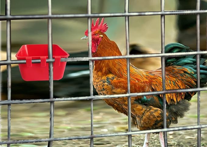 10 Pack Chicken Feeder Waterer Hanging 16 OZ Rabbit Water Cup Cage Bird Food Dishes Pigeon Feeding Watering Bowl with Hooks Bunny Poultry Coop Drinker Quail Seed Treats Dispenser
