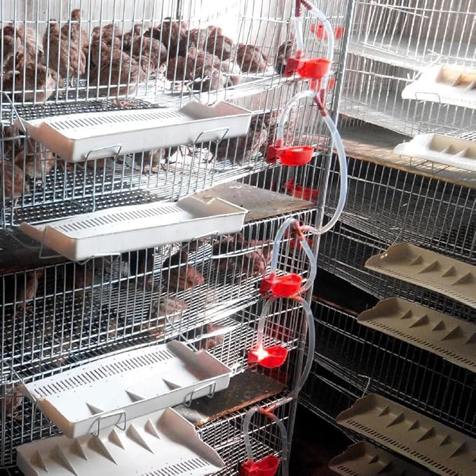 12Pcs Quail Water Cups Pigeon Automatic Bird Waterer for Cage Hang Drinker Breeding Poultry Drinking Bowls(Red)