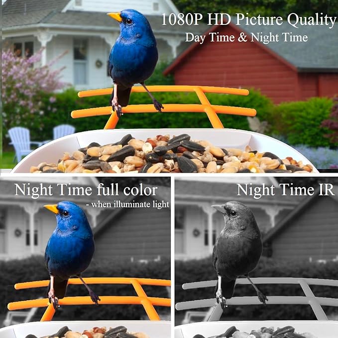 4UCam Smart Bird Feeder with Camera Solar Panel Powered, 1080HD Auto Capture Bird Videos & Instant Notifications, AI Intelligent Recognition Birds Spieces-Wireless Camera, with two-way Auto Capture 32
