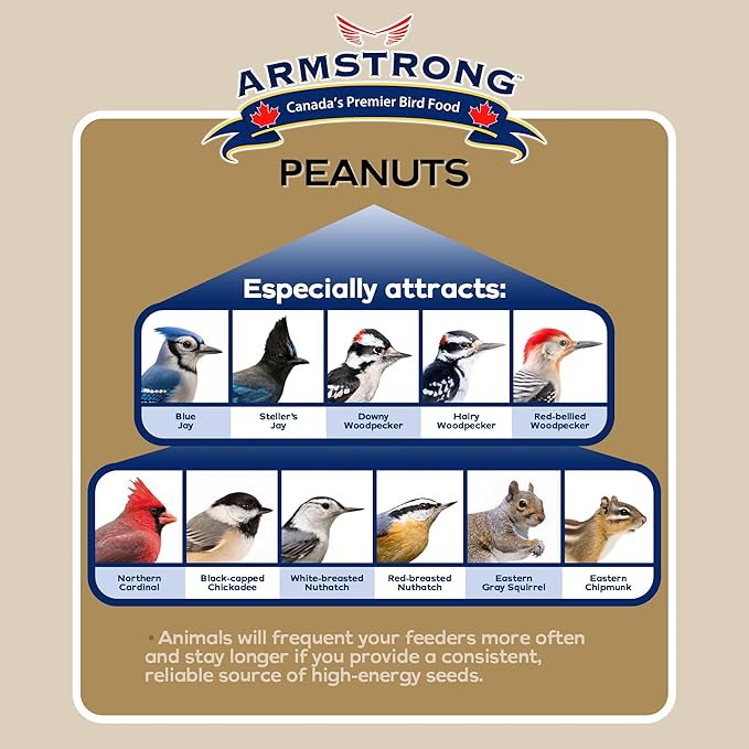 Armstrong Wild Bird Food Shelled Peanut Halves Bird Seed, 4.4 Pounds - for Downy Woodpeckers, Red-Breasted Nuthatches and Black-Capped Chickadees for Outside Feeders