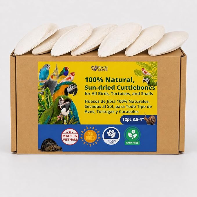 Birds LOVE 3.5-4″ Cuttlebone for Birds – 100% Natural Sun-Dried Calcium Carbonate Mineral Supplement – for Parakeets, Budgies, Cockatiels, Finches & Canaries – 12 Pack with Holder – Made in Vietnam