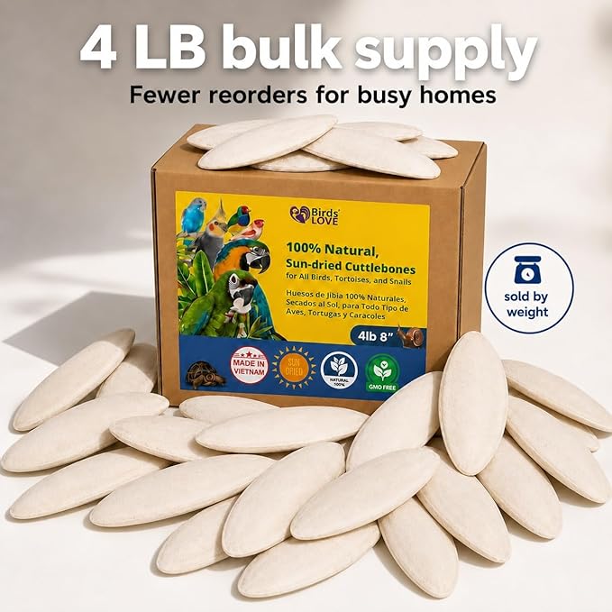 Birds LOVE 7.5-8" Cuttlebones for Birds – 100% Natural Sun-Dried Calcium & Beak Conditioning Supplement for Parakeets, Budgies, Cockatiels, Finches & Canaries – 4 lb with Holder – Made in Vietnam