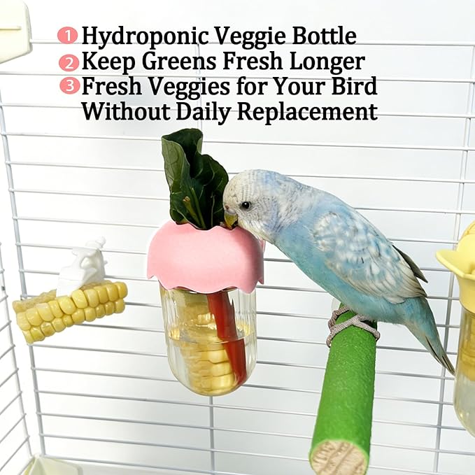 Automatic Bird Cage Feeder No Mess Bird Feeding Station Parrot Vegetable Holder Fruit Clips for Parakeet Cockatoo Canary Lovebirds Budgie (White)