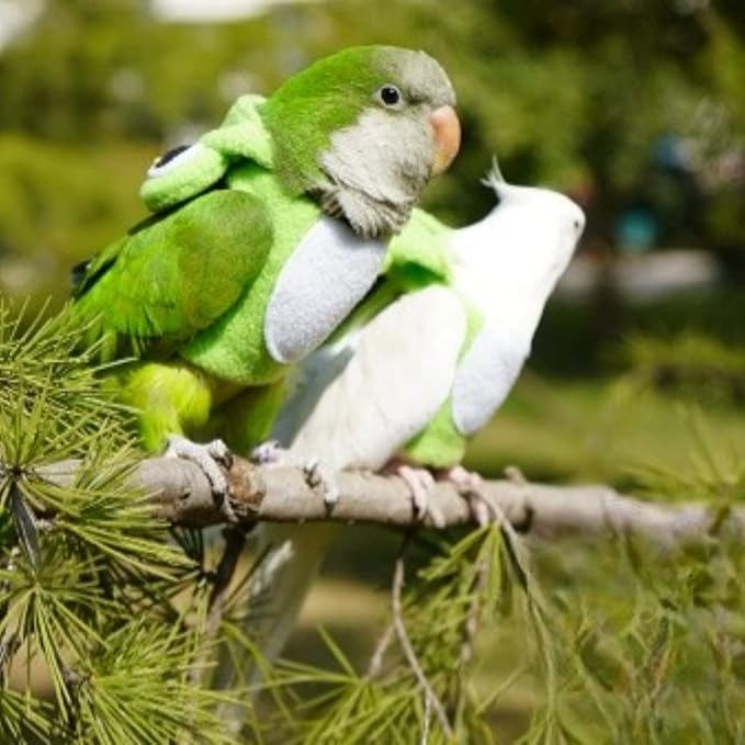 Bird Clothes Cosplay Photo Prop Frog Shape Hoodie, Bird Diaper Flight Suit, Small Animal Apparel for Parrots, Parakeet, Cockatiel, Sun Conure - Green, Small