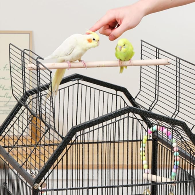 40inch Bird Cage with Rolling Wheels, Open-Top Parrot Cage Sturdy Iron Pet Bird Flight Cage Large Birdcage for Parrots Cockatiels Conure Budgie Canary (Black)