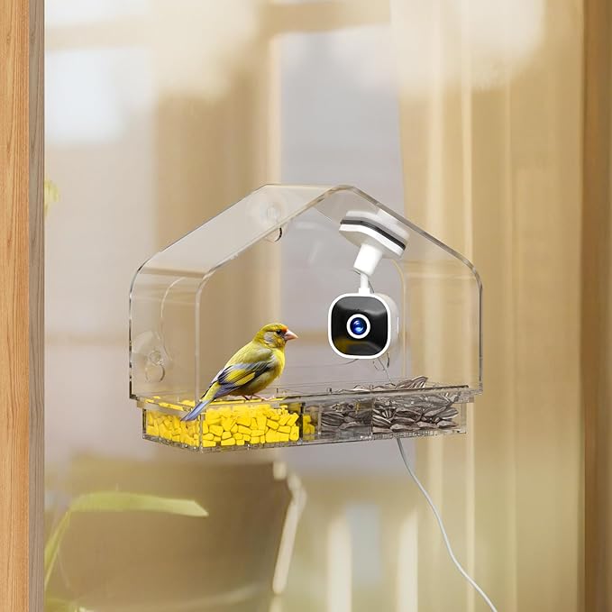Smart Window Bird Feeder Camera with AI, Modern Design for Panoramic Views, 2K HD Live Feed, USB Powered & Secure Suction Mount - The Ultimate Tech Gift (Clear)