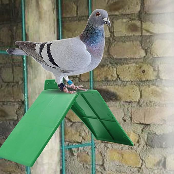 plplaaoo 10PCS Plastic Dove Rest Stand – Anti Skid & Heat Resistant Pigeon Perch for Racing Birds – Green Roost Holder for Bird Cages, Doves, and Parrots