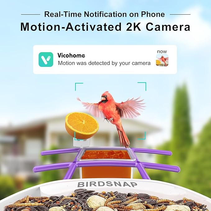 birdsnap® TUC Bird Feeder with Camera 2K HD Live with 32GB Card Auto Detect & Notify AI Identify Camera Birds Feeders Solar Powered Wireless Outdoors Backyard Gift for Mom Dad Birds Lover, 2.4G WiFi