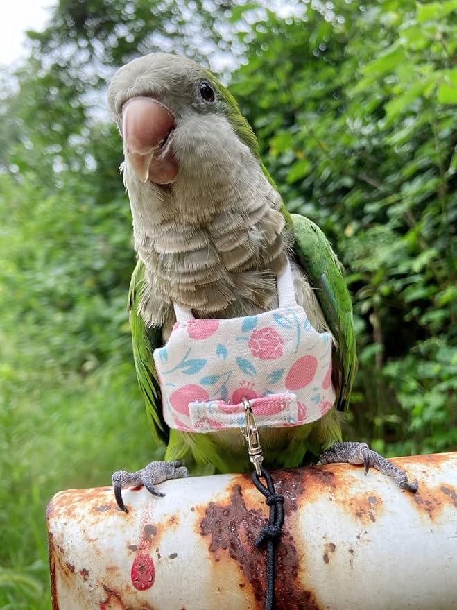 Bird Flight Harness Vest, Parrot Flight Suit with Leash for Parakeets Cockatiels, Bird Flying Clothes with Rope and Handle for Outdoor Activities Training (Pink Without Leash,Medium)