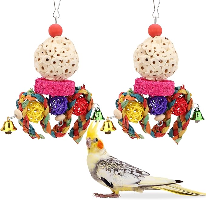Wontee Bird Toys 3 Pack Parrot Foraging Hanging Toys Sola Ball Natural Nuts Chew Toys for Cockatiels Conures Parakeets Budgies Senegal (2 Pack-Colorful)