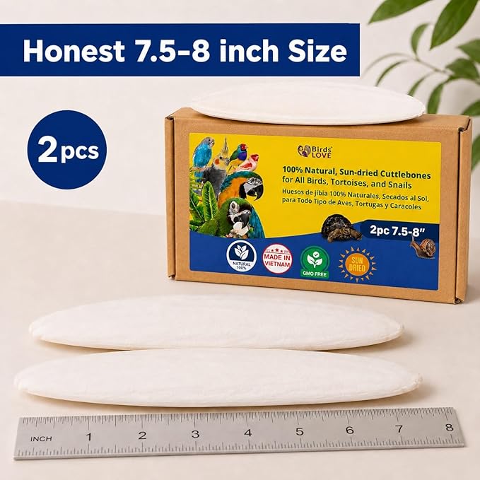 Birds LOVE 7.5-8" Cuttlebone for Birds – 100% Natural Sun-Dried Calcium Carbonate Mineral Supplement – for Parakeets, Budgies, Cockatiels, Finches & Canaries – 2 Pack with Holder – Made in Vietnam