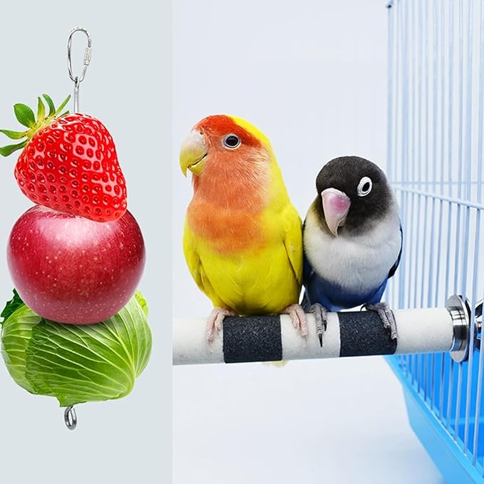 2 Pcs Bird Food Holder Small Animal Fruit Vegetable Skewer Hanging Feeders Toy Stainless Steel Feeding Stick Tool for Cage