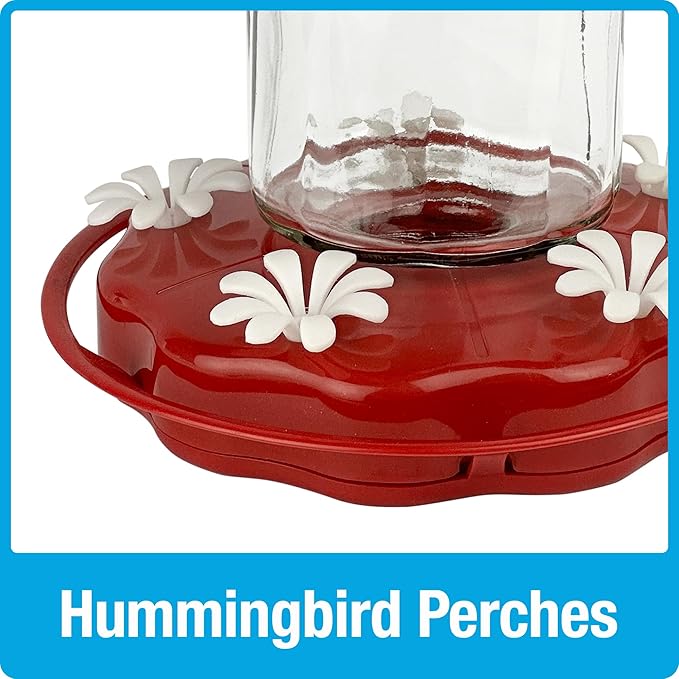 Nature's Way Hanging Glass Hummingbird Feeder for Outdoor Décor, 20 Ounce Capacity Nectar Feeder, Ant Moat, 5 Easy to Clean Flexible Ports, Red