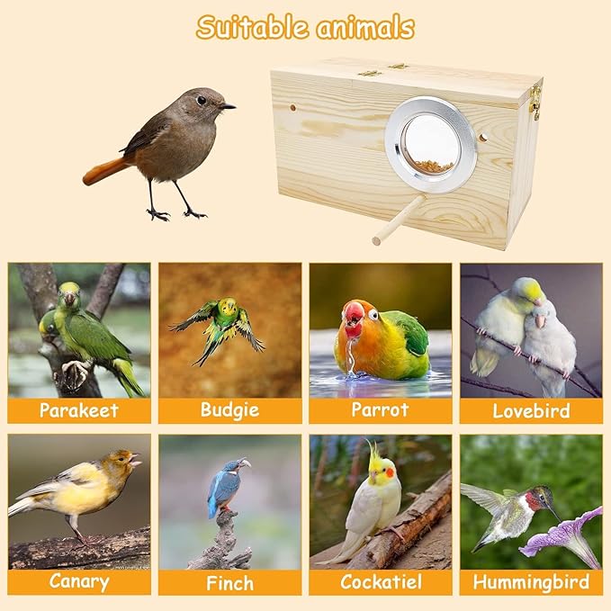 PINVNBY Large Natural Wood Parakeet Nesting Box Budgie Breeding Box Acrylic Bird Nest for Cage Transparent Panoramic for Birds, Parrots, Cockatiels, Lovebirds, Canaries (XL: 13.3 x 7.8 x 7.08 inch)