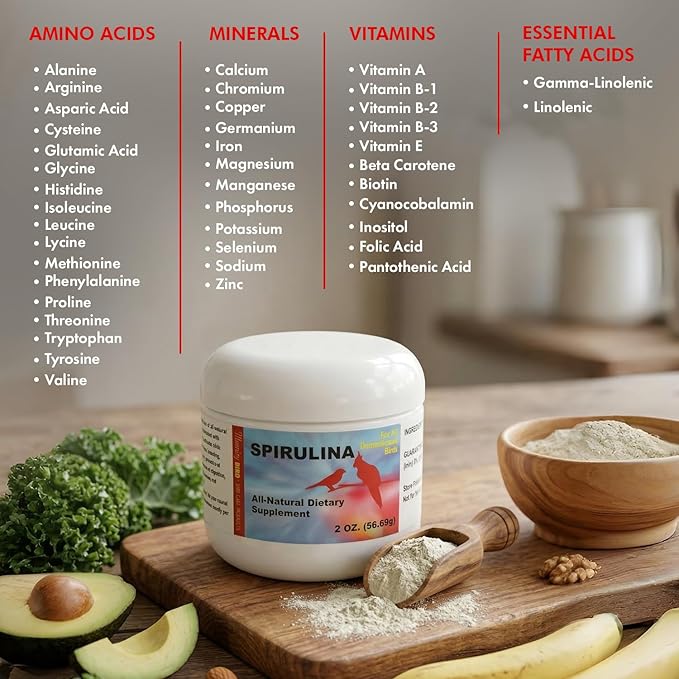 Morning Bird Spirulina 2 oz – Organic Superfood Supplement for Birds – Rich in Vitamins, Protein & Amino Acids – Ideal for Parakeets, Cockatiels, Budgies, Finches, Canaries & Parrots