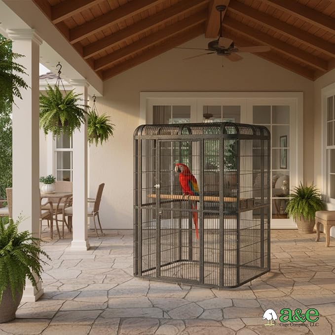 A&E Cage Co Walk-in Bird Aviary 62"x62"x79" Large Parrot Cage with Locking Door, 3 Swing-Out Feeder Doors, SS Bowls & Durable Powder Coated Finish for African Grey, Amazon, Pionus & Cockatoo