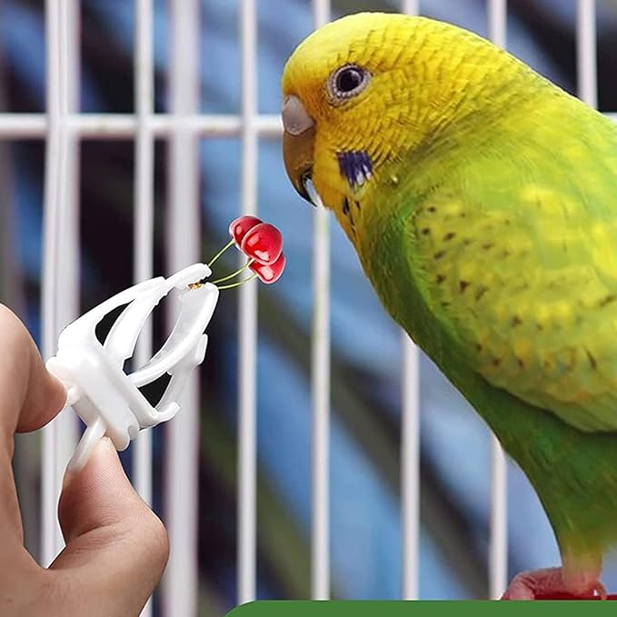 3Pcs Bird Snack Holder for Fruit Vegetable Treat Food Clips Easy to Install for Cage Feeder for Small Parrots