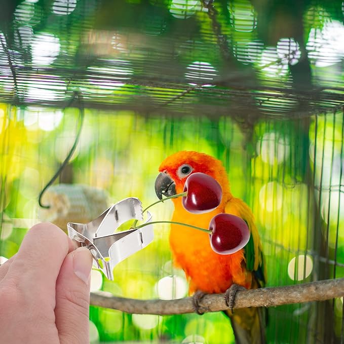 ULTECHNOVO Birds Food Holders, Food Vegtable Fruits Holder Bird Feeder Cage Birds Feeder Devices Clip Vegetables for Cockatiel Bird Parrot Hamster 5Pcs
