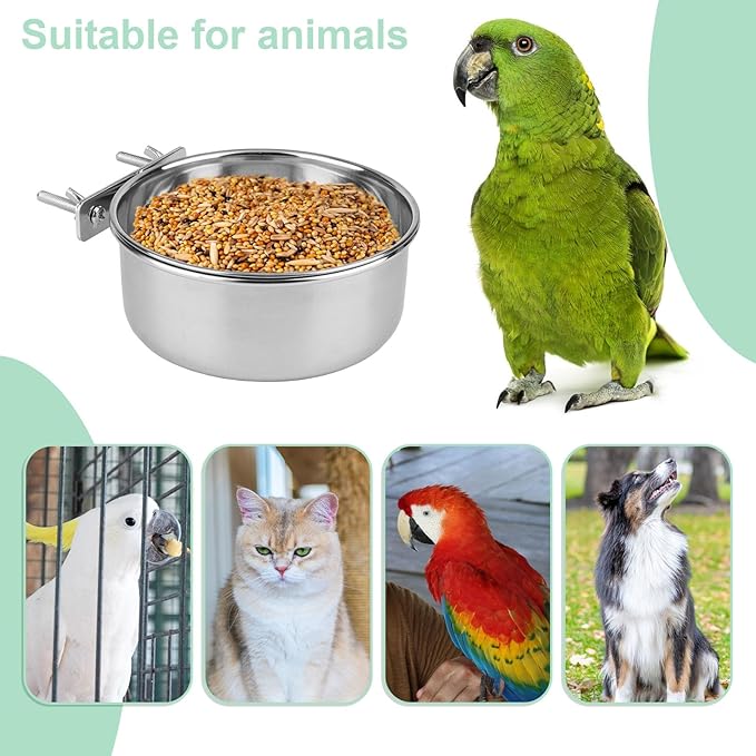 Hypeety Stainless Steel Bird Food Water Bowl Parrot Cage Accessories for Parakeet Bird Dog Cat Parrot Rabbit 2PCS (Large,5.5 * 2.3in)