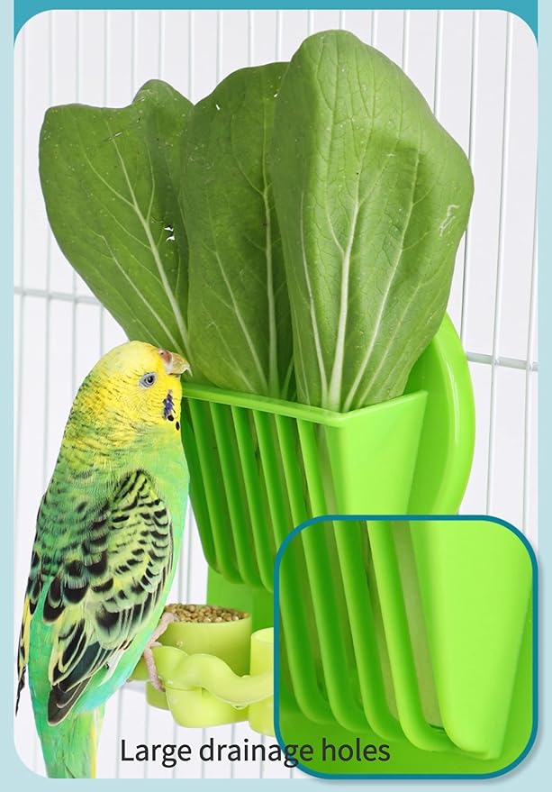 Bird Parrot Feeder Cage Fruit Vegetable Holder Vegetable Rack Pet Food Hanging Feeder Parrot Fruit Hanging Containers for Cage