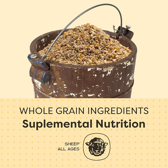 Scratch and Peck Feeds Whole Grain Mash + Corn Sheep Feed - 40 lbs Bag - Soy-Free - 15% Protein, Certified Organic and Non-GMO Project Verified Sheep Food