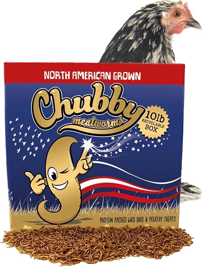 Chubby North American Grown Dried Mealworms | 10?lbs | Non-GMO High-Protein Treats for Chickens, Ducks & Wild Birds – Sustainable Chicken Feed