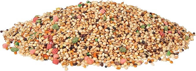 Wild Harvest Daily Blend for Parakeet, Canary, Finch & Small Birds, 2 Pounds (Pack of 4)