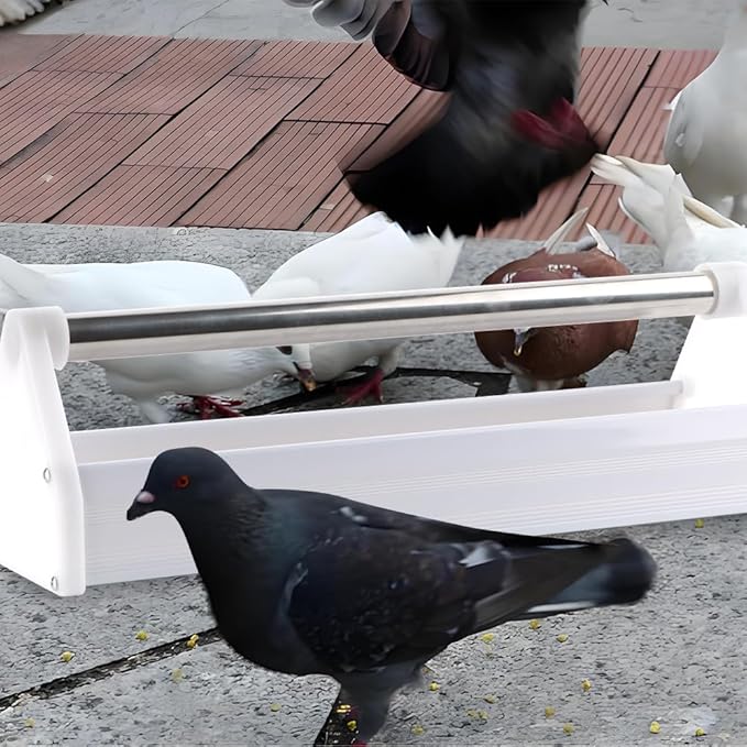 2 Pcs Pigeon Feeder Durable Reinforced Plastic Food Box Feeding Dish Storage Trough for Bird Pigeon Parrot Duck Home Poultry (Length: 15.5")