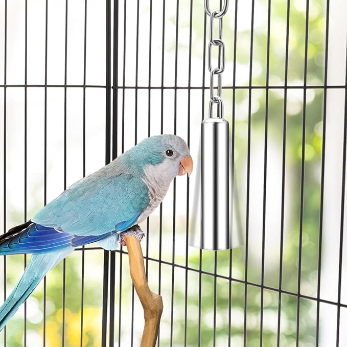 Wontee Stainless Steel Bell Toy Bird Cage Hanging Bite Toy for Parrot Parakeet Budgie Cockatiel Conure African Greys (2 PCS-S)
