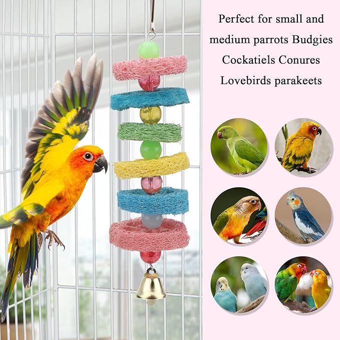 Hypeety Bird Toys Parrot Hanging Chew Toys Natural Colorful Loofah Shred and Preen Swing Bird Bell Cage Parrot Toys