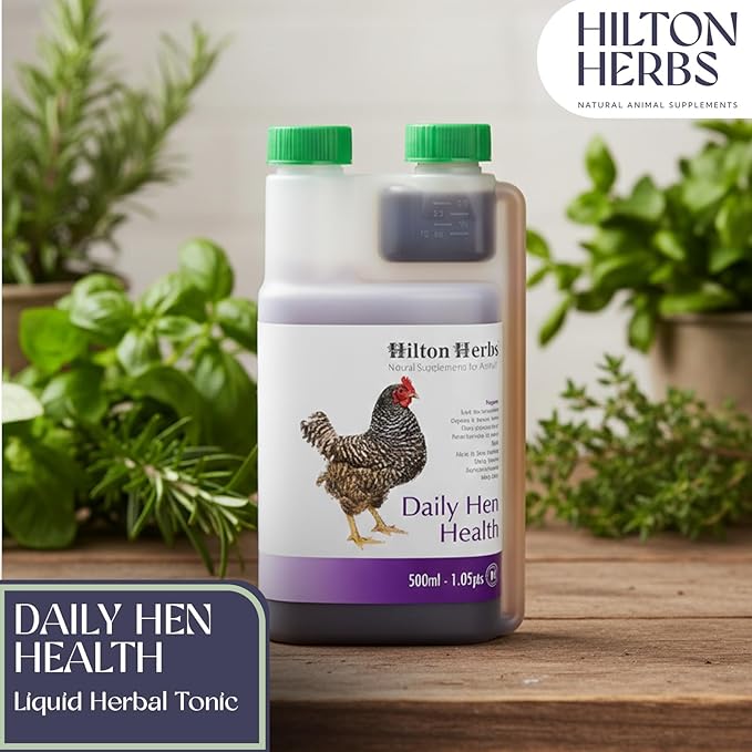 Hilton Herbs Daily Hen Health Herbal Health Supplement for Poultry & Birds, 1.05 pt ( 500ml) Bottle