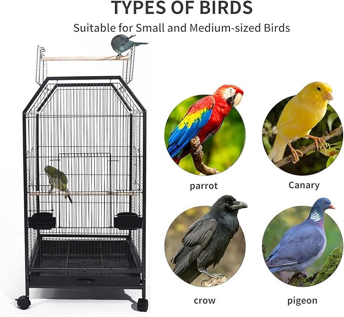 40inch Bird Cage with Rolling Wheels, Open-Top Parrot Cage Sturdy Iron Pet Bird Flight Cage Large Birdcage for Parrots Cockatiels Conure Budgie Canary (Black)