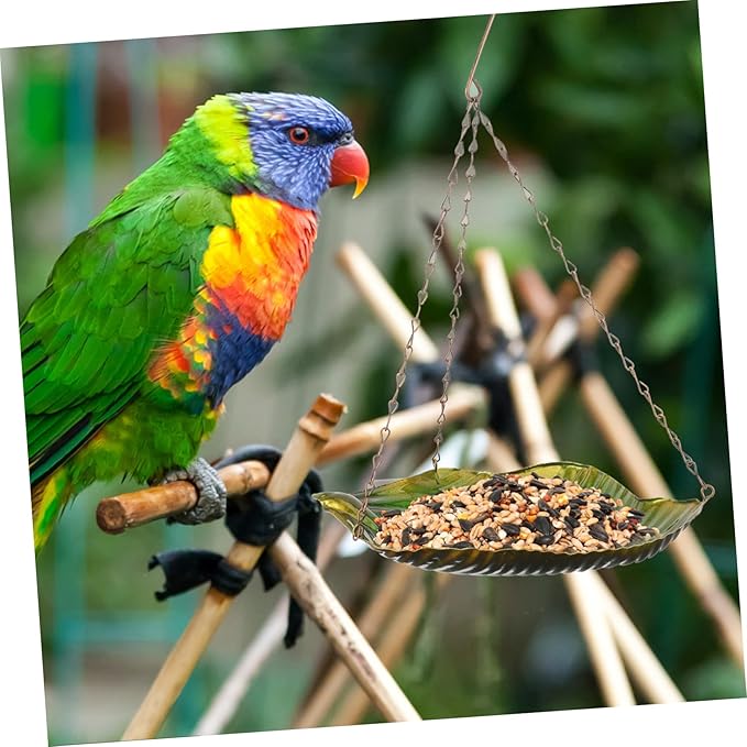 Abaodam Outdoor Garden Hanging Bird Food Container Bird Feeder Excellent Craftsmanship for Attracting Birds