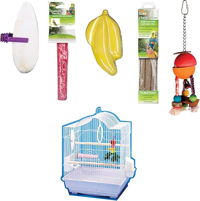 Penn-Plax Bird-Life Bird Cage Starter Kit with Accessories - White Arched Cage - for Parakeets, Lovebirds, Parrotlets, and Finches - Small (BCK1)