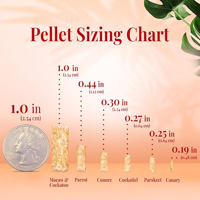 LAFEBER'S Parrot Pellets (Tropical Fruit, 1.25 Ib Pack of 2)