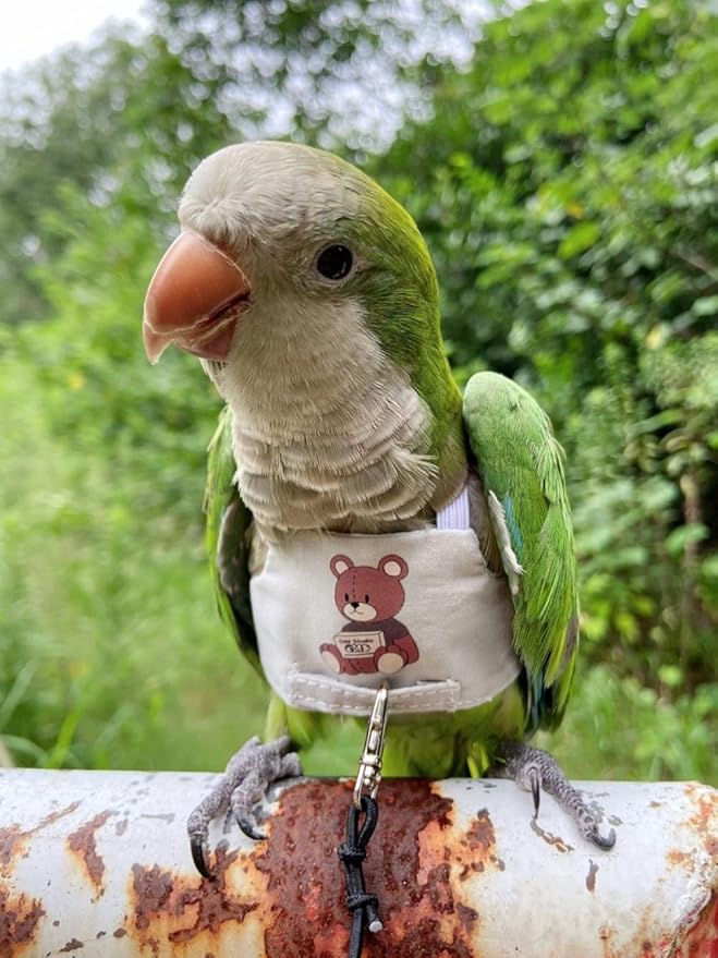 Bird Flight Harness Vest, Parrot Flight Suit with Leash for Parakeets Cockatiels, Bird Flying Clothes with Rope and Handle for Outdoor Activities Training (Bear with Leash,Small)