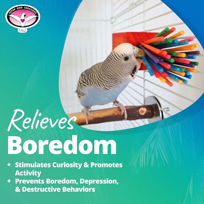 Super Bird Creations - SB301 Chewable Paper Party Bird Toy with Colorful Lollipop Sticks - Ringnecks Medium Conures Parrot - Chew Enthusiasts - Enriching Bird Toys for Medium to Large Birds - 1-Pack