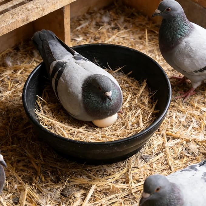 DQITJ 4 Pack Bird Nest Bowl Plastic Racing Pigeon Breeding Hatching Nest Box Birdcage Egg Basin for Pigeon Chicken Doves Quail Bird (Dia: 8.6 Inches, Black)