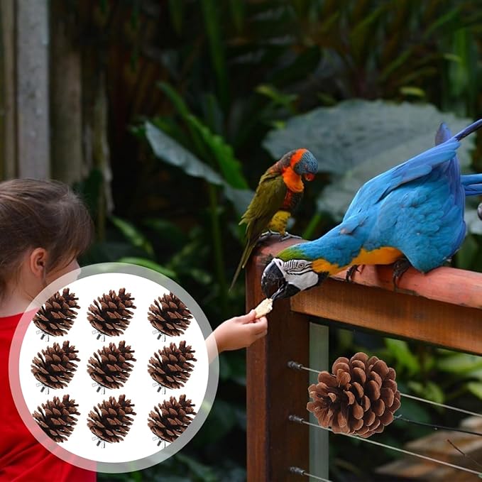LIOOBO 10 Pcs Natural Pine Cones Bird Toys, Parrot Chew Toy for Cage, Wood Foraging Shredding Playthings Conure Cockatiel Parakeet African Grey Macaw Nut Fixed
