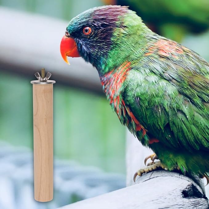 Parrots Stand Rod Cockatiels Perch Cage Wood Playing Grinding Standing Wooden Parakeets Parrots Perching Bird Platform Accessories