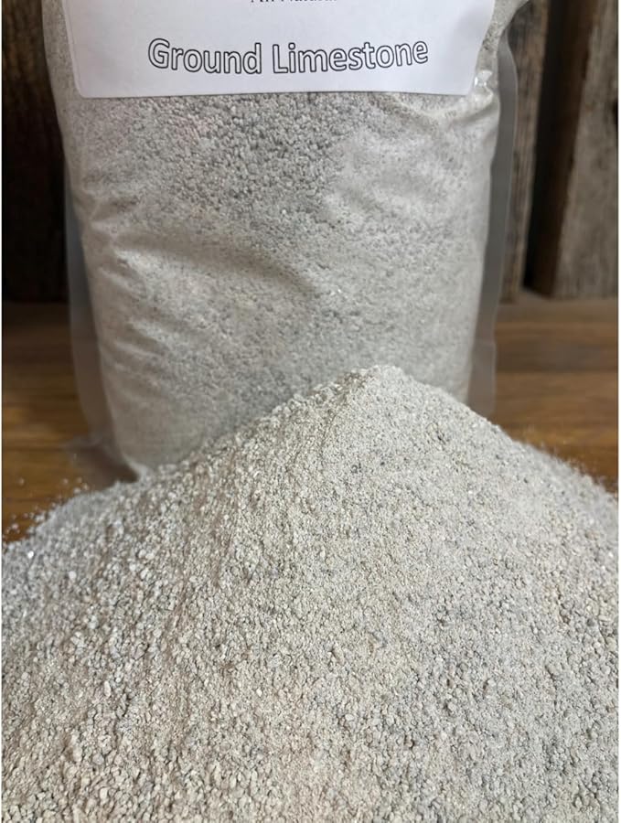 Small Bird Calcium Carbonate - Fine Ground All Natural Limestone - Egg Strength - Pullet, Quail, Pigeon, Parakeet, Cactus, Cacti Seed Germination (6 Pound)