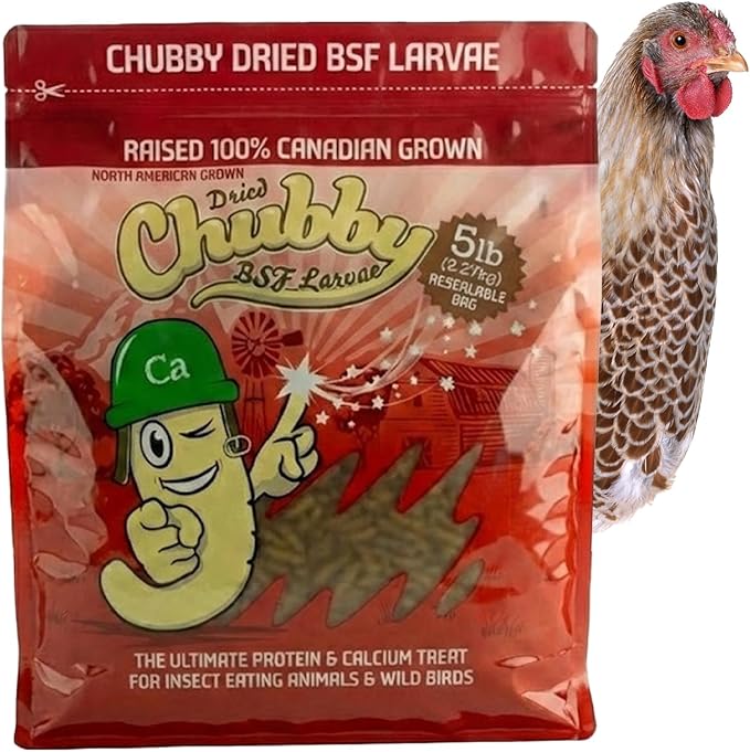 Chubby Dried Black Soldier Fly Larvae | 5 lbs | High Calcium Sustainable Protein Snack for Chickens, Laying Hens, Wild Birds & Reptiles