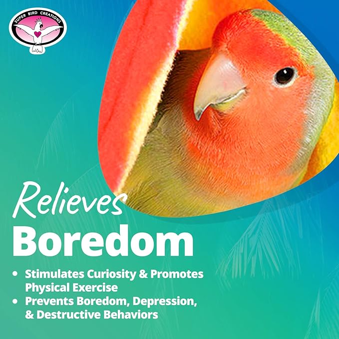 Super Bird Creations SB473 Peekaboo Perch Tent for Small Birds, Bird Bed & Parrot Perch, Ideal Bird Cage Accessories for Parakeets, Finch, Canary Cockatiels, Comfortable Bird Perches Cage, 10”x4”x4.5”