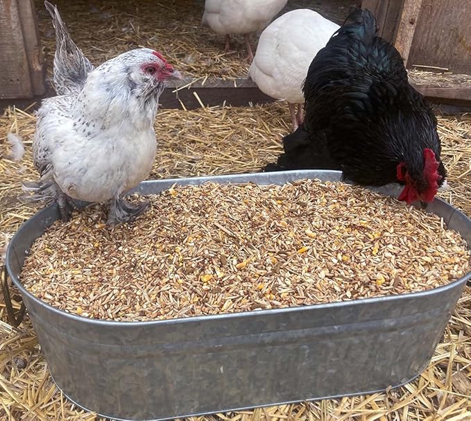 Pampered Chicken Mama Premium Chicken Scratch Treat - High Protein & High Calcium All-Natural Backyard Chicken Grower Feed Supplies for Laying Chickens (2.5 pounds)