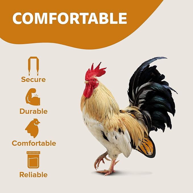 Hen Holster Premium Starter Kit - Bird Diaper, Wrap Around for Hens, Roosters, Ducks - Leak-Proof, Comfortable Bird Harness with Sewn-in Liner, Secure Hook & Loop Closure - Large, Tiger