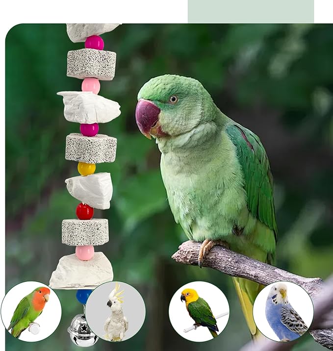 2Pcs Cuttlebone for Birds with Jingler - 14.5" Natural Calcium Stone & Mineral Chew Toy for Beak Trimming, Teeth Grinding - for Parakeet, Conure, Cockatiel, Finch, Hamster, Chinchilla