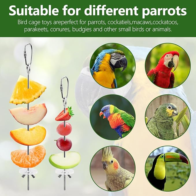 LELE LIFE 5Pcs Bird Cage Food Holder, Hanging Parrot Fruit Vegetable Skewer, Stainless Steel Bird Foraging Toys Bird Cage Feeder for Parakeet Budgie Bird Cage Accessories