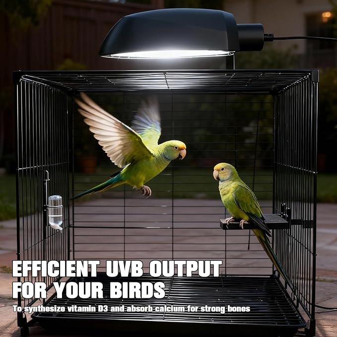 Bird Cage Light Fixture Combo Kit with Adjustable Timer,Lamp Hood with 2.4% UVB UVA 20W Compact Fluorescent Bulb for All Kinds Captive Birds Reptiles